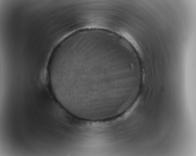 X0000088200876200705292030