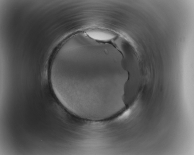 X0000088200877200705292030