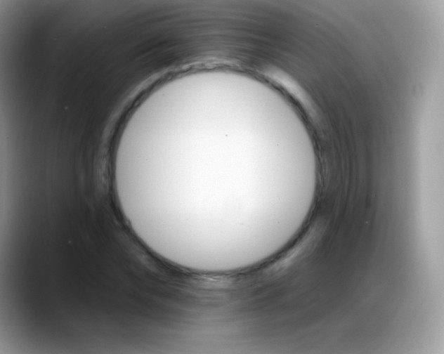 X0000088200878200705292030