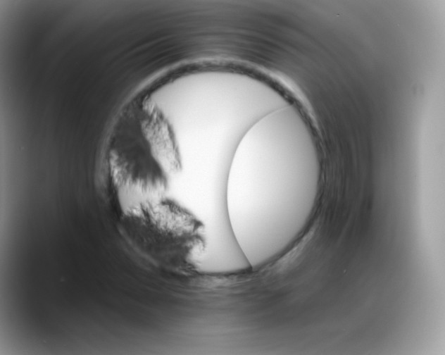 X0000088200879200705292030