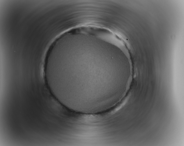 X0000088200880200705292030