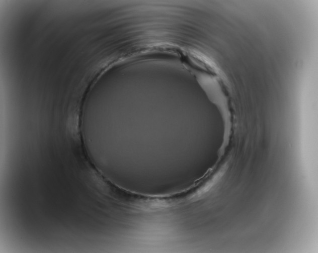 X0000088200881200705292030