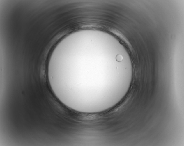 X0000088200882200705292030