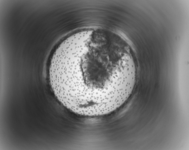 X0000088200883200705292030