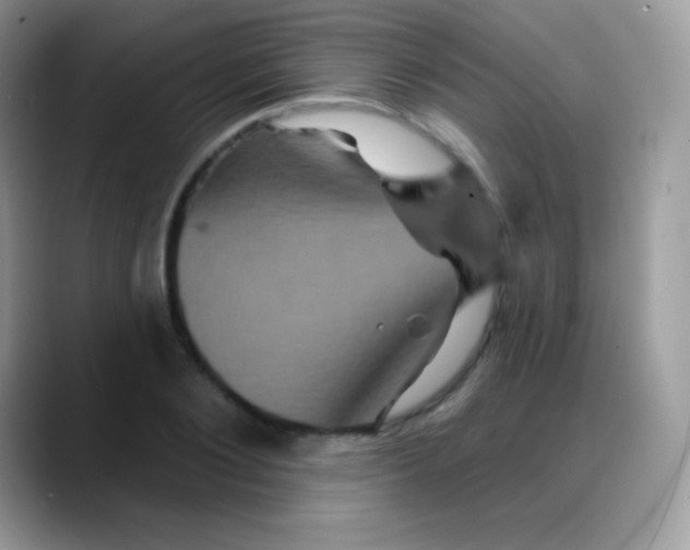 X0000088200884200705292030