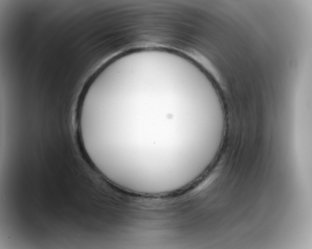 X0000088200885200705292030