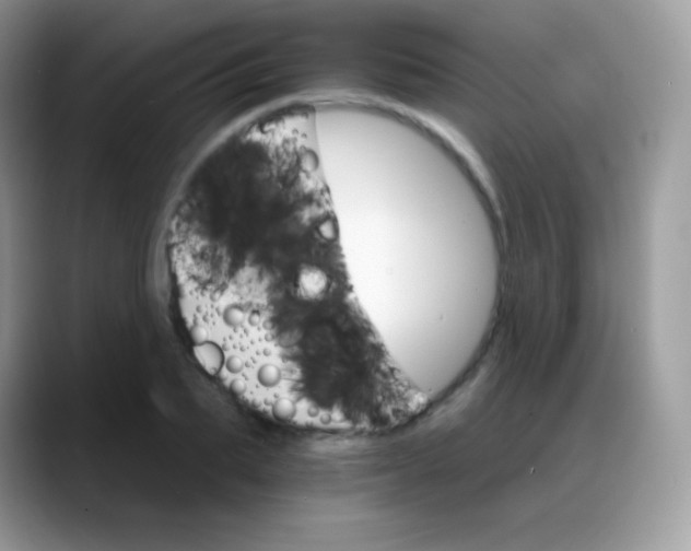 X0000088200887200705292030
