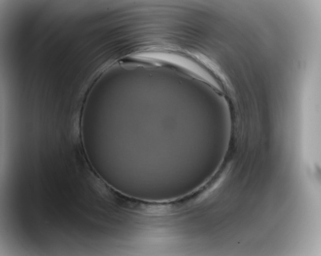 X0000088200889200705292030