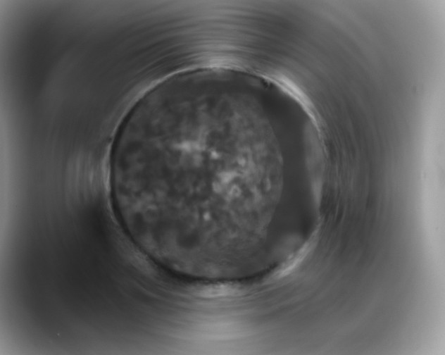 X0000088200891200705292030