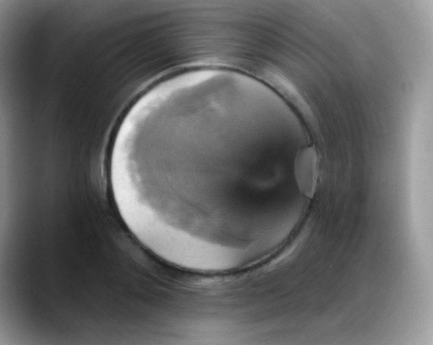 X0000088200892200705292030