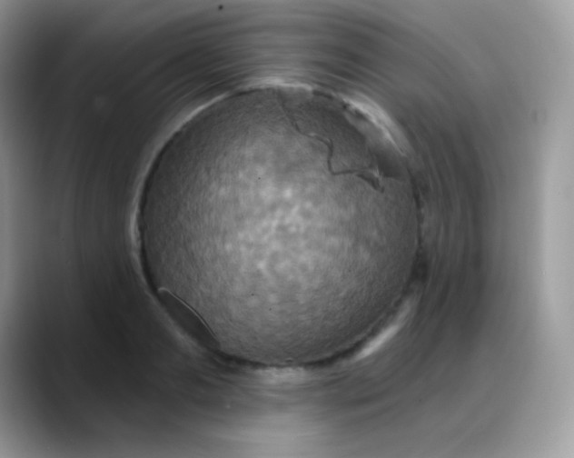 X0000088200893200705292030