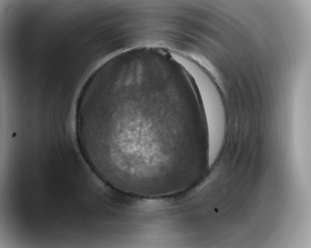 X0000088200894200705292030