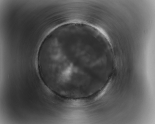 X0000088200895200705292030