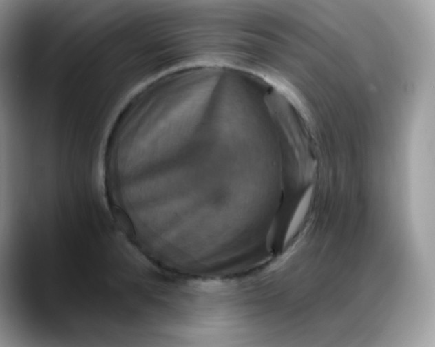 X0000088200896200705292030