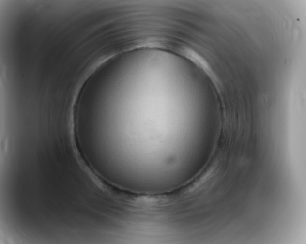 X0000088200898200705292030