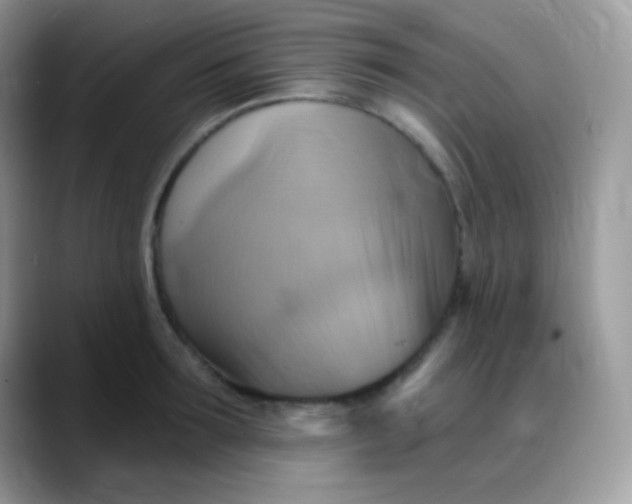 X0000088200899200705292030