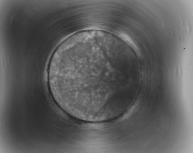 X0000088200900200705292030