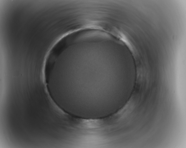 X0000088200902200705292030