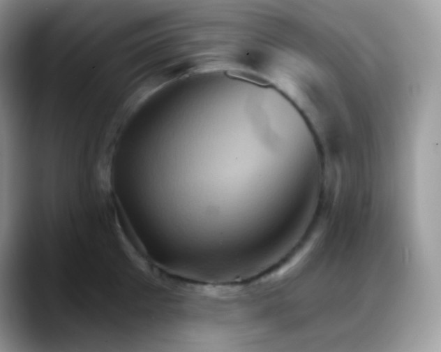 X0000088200905200705292030
