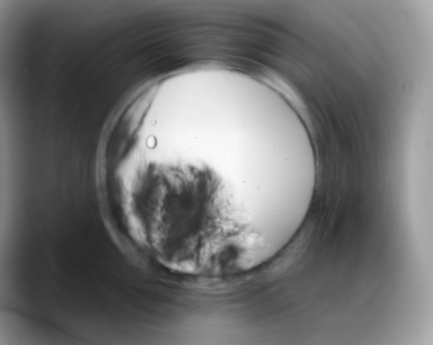 X0000088200907200705292030