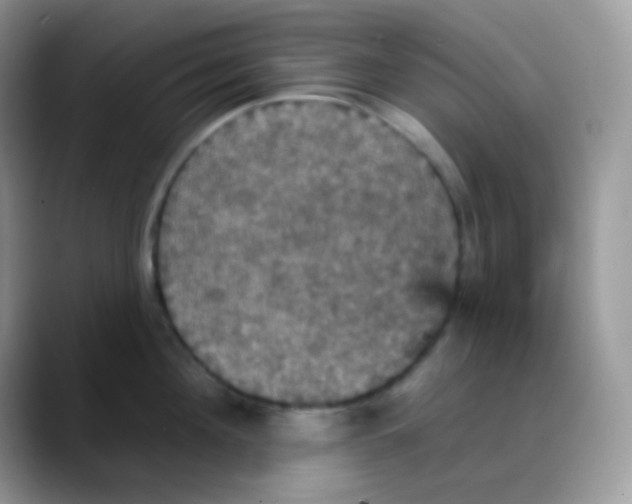 X0000088200908200705292030