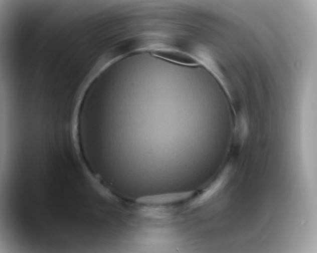 X0000088200909200705292030