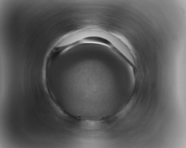 X0000088200910200705292030