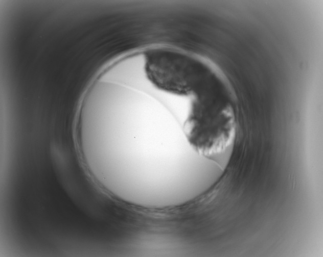 X0000088200911200705292030