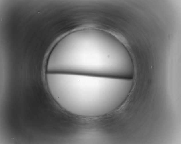 X0000088200912200705292030