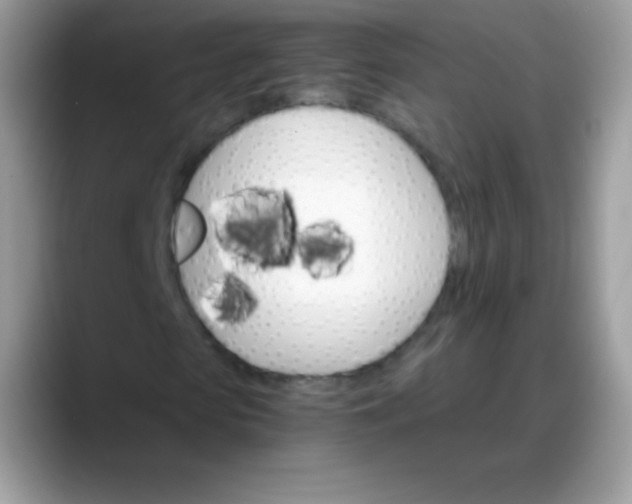 X0000088200913200705292029