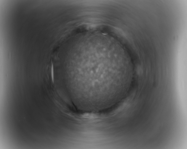 X0000088200914200705292029