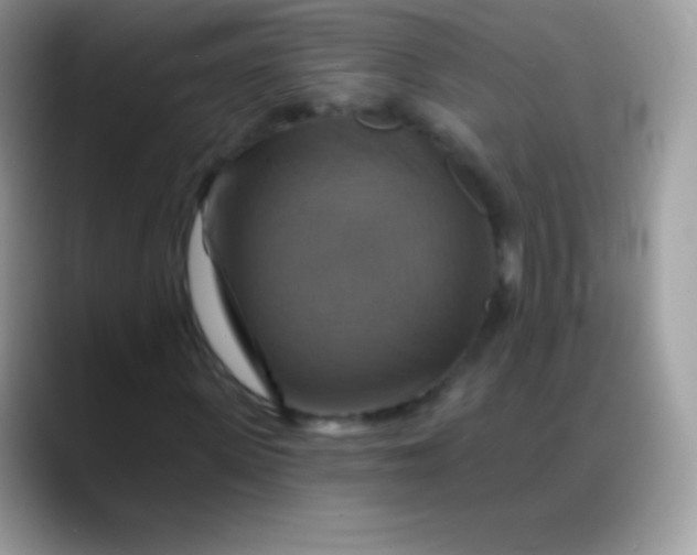 X0000088200915200705292029