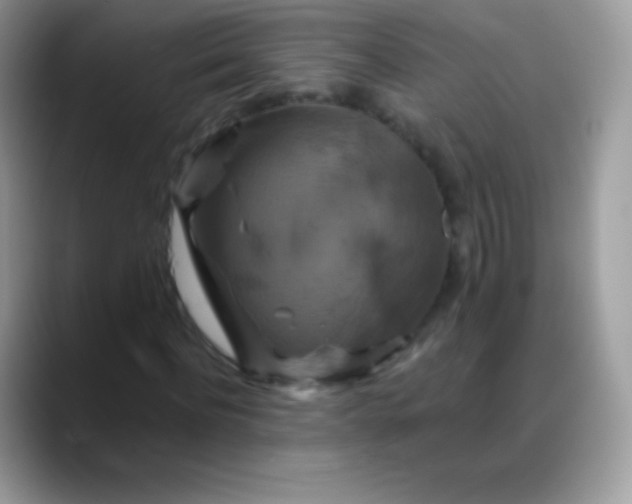 X0000088200916200705292029