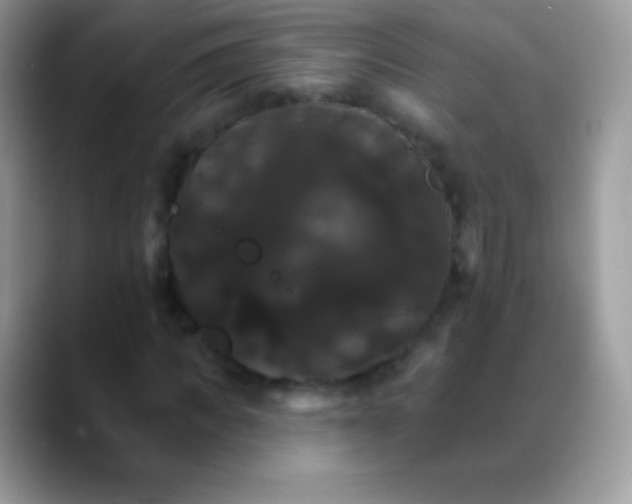 X0000088200917200705292029