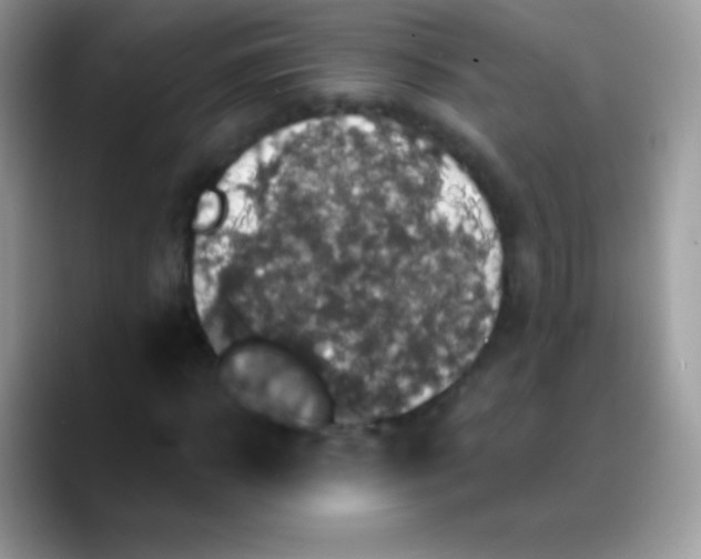 X0000088200918200705292029