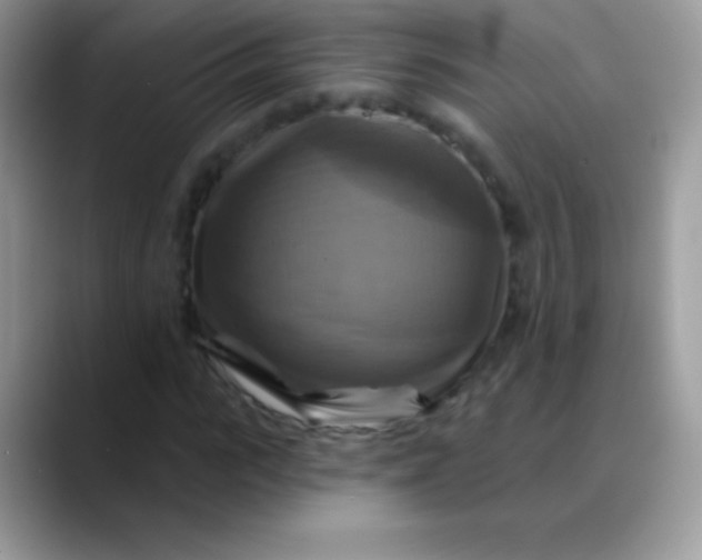 X0000088200919200705292029