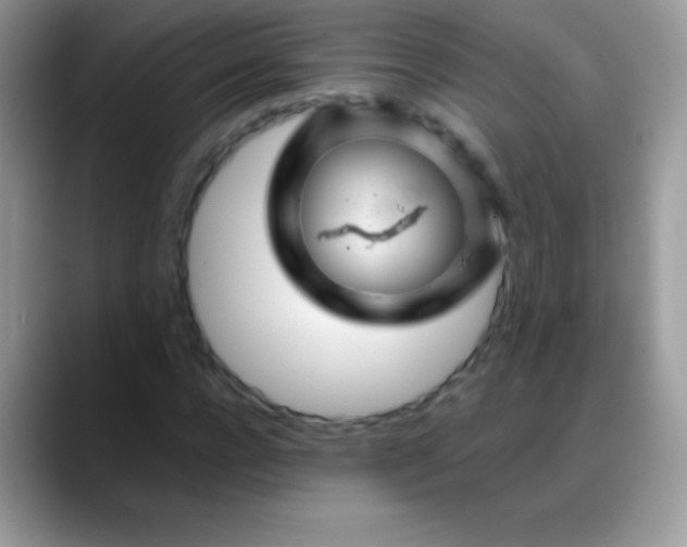 X0000088200920200705292029