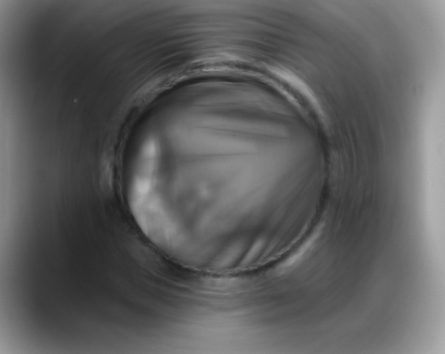 X0000088200921200705292029