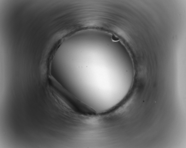 X0000088200922200705292029