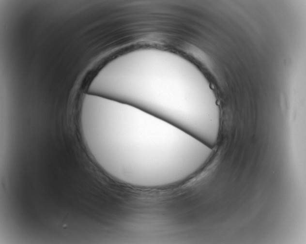 X0000088200923200705292029