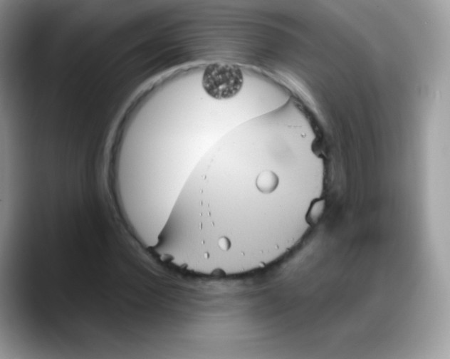 X0000088200924200705292029
