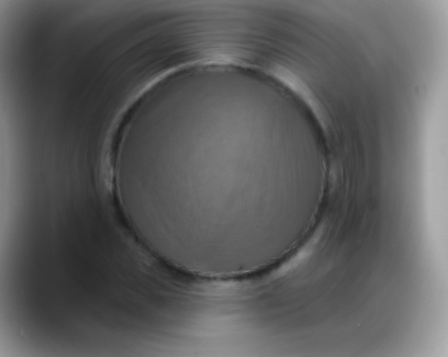 X0000088200925200705292029