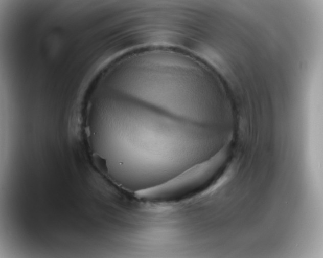 X0000088200926200705292029