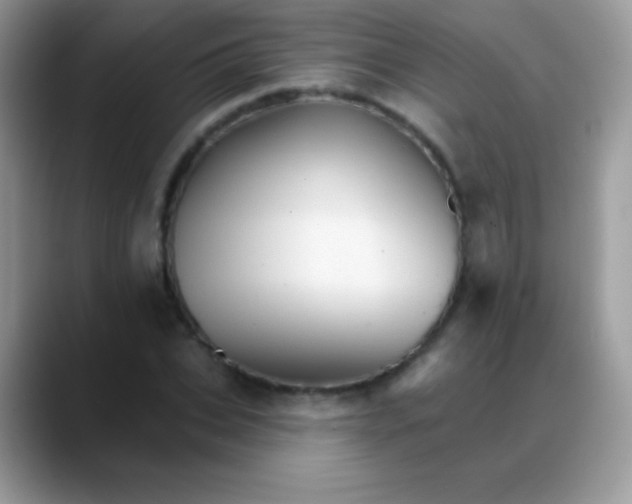 X0000088200927200705292029
