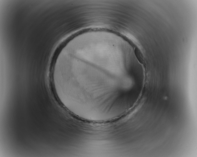 X0000088200928200705292029