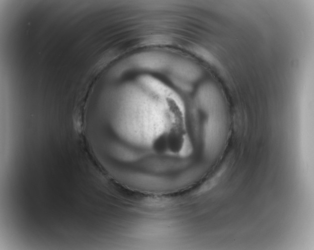 X0000088200929200705292029