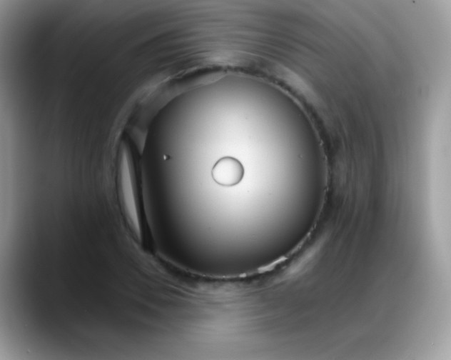 X0000088200930200705292029