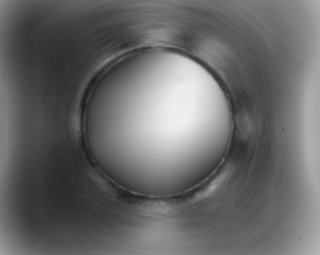 X0000088200931200705292029