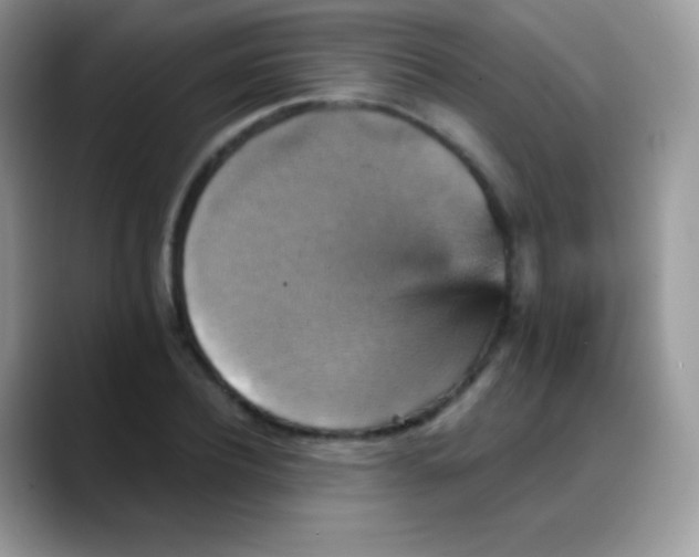 X0000088200932200705292029