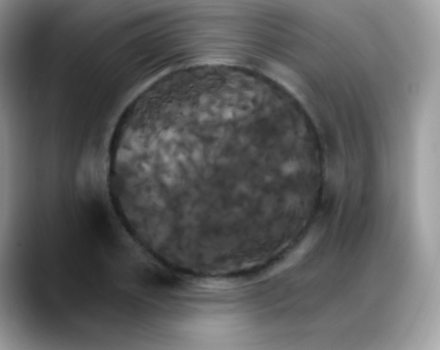 X0000088200933200705292030